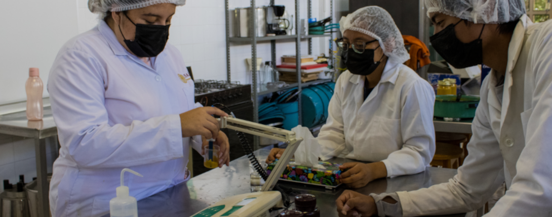 Ingeniería en Alimentos