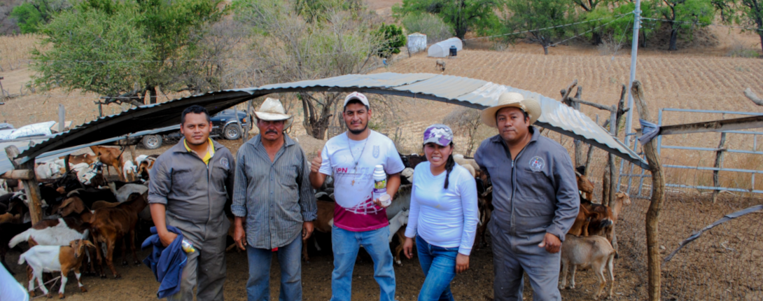Actividades