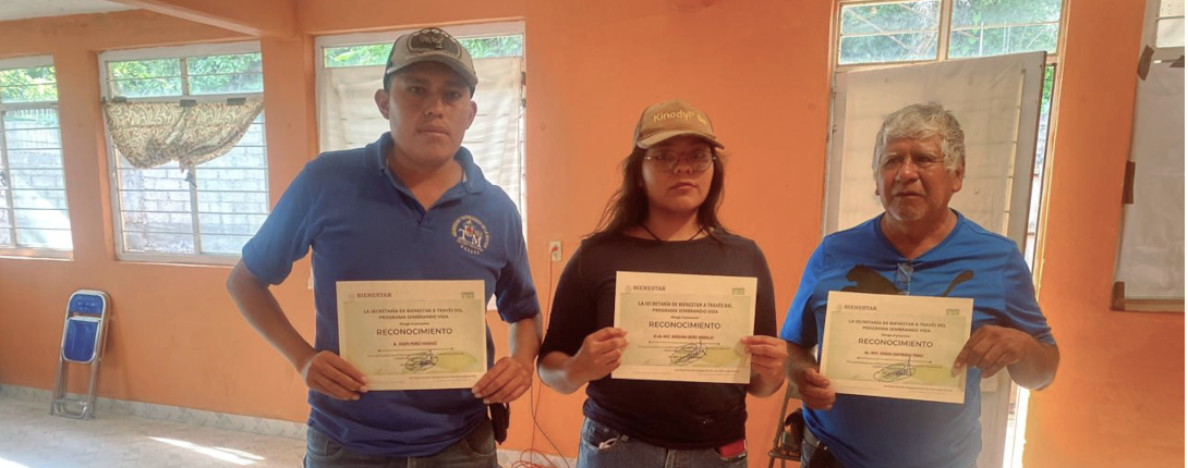 Contacto Promoción del Desarrollo
